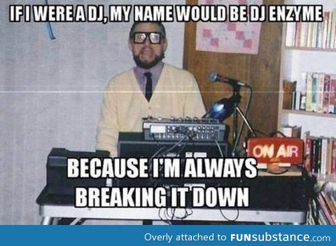 Googled best DJ name, was not disappointed