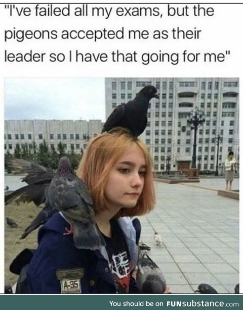 PigeonWizard