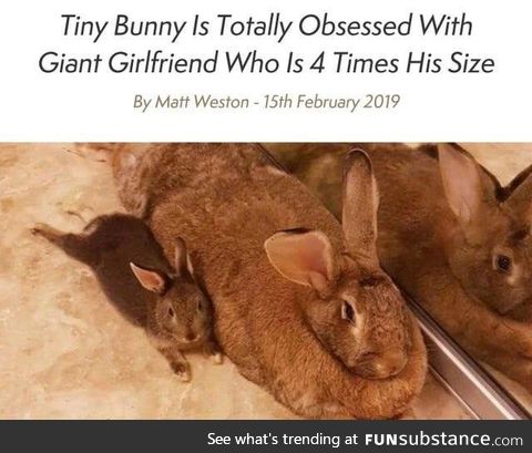 Got a couple buns in the oven, prolly