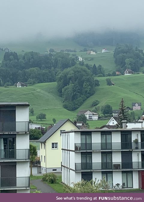 The trees on the hill behind my apartment look like a fawn sleeping :)