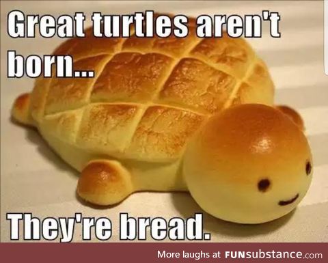 I am bread