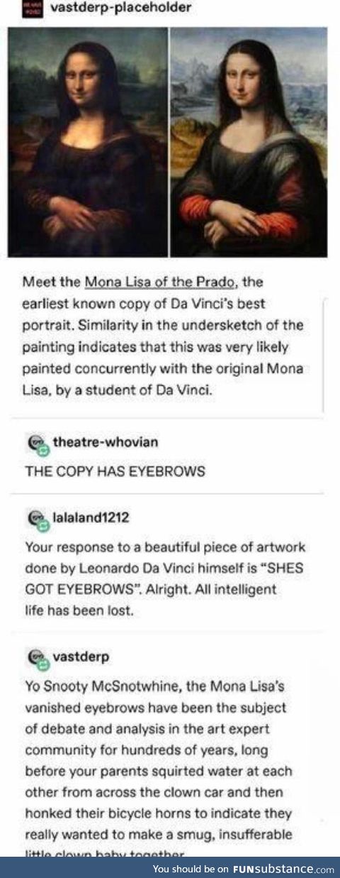 Mona Lisa And The Case of The Missing Eyebrows