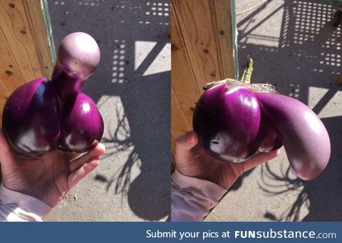 What an inappropriate eggplant
