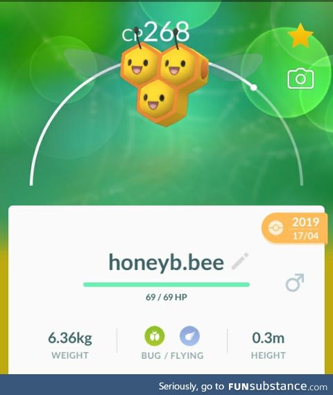 PoGo Project #3 - Bee Not Afraid