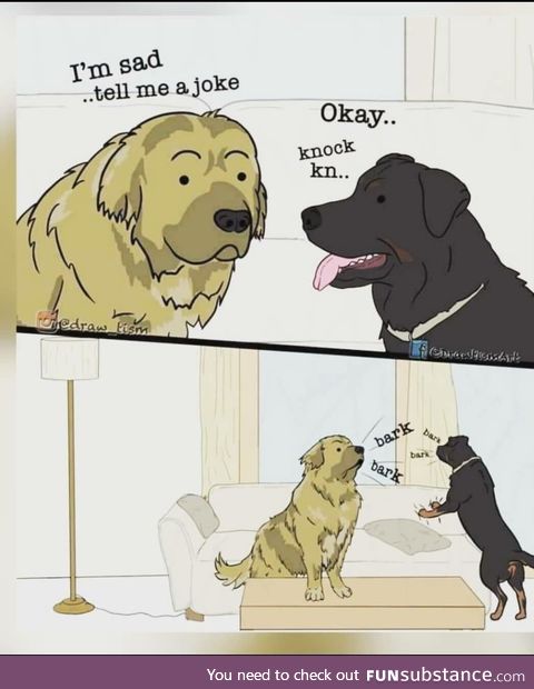 Dogs are the joke