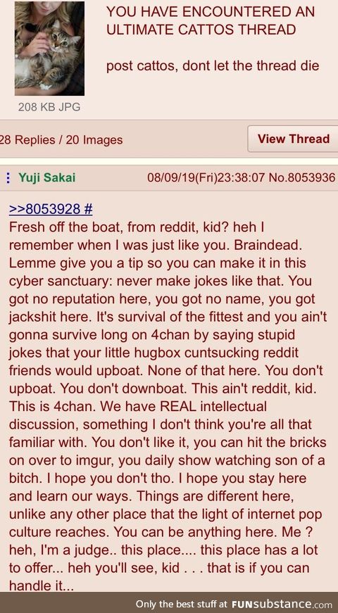 Anon tells  boy what’s what