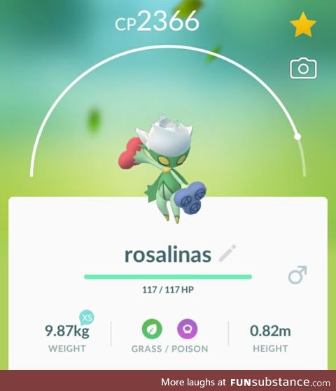PoGo Project #10 - A Rosa by Any Other Name