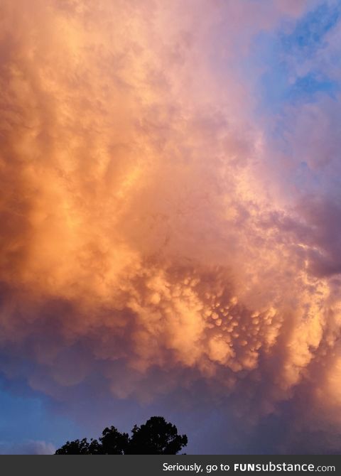 Louisiana evening sky