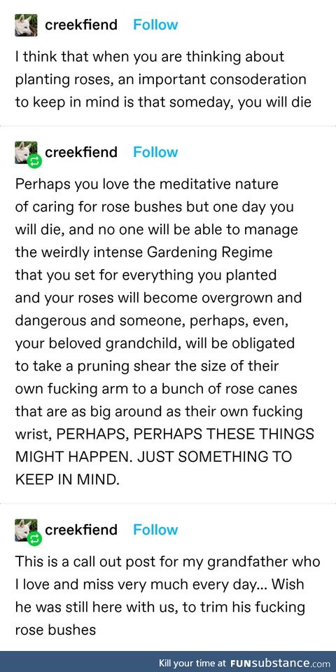 Mind your roses