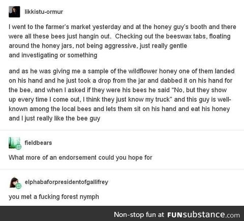 Bee guy