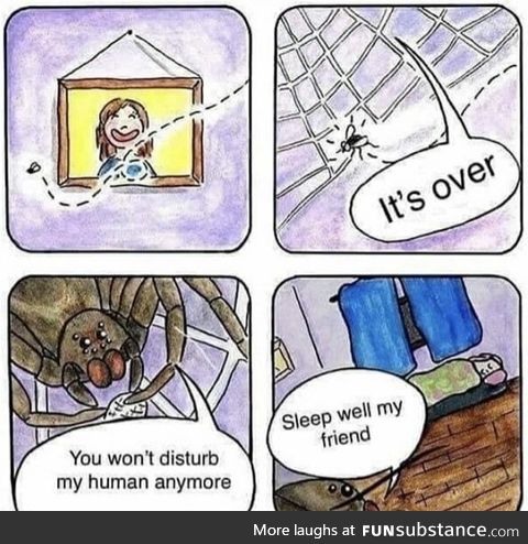 I love spiders &lt;3