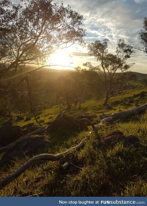 Sunset on a hill