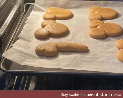 Holidays PSA: Don’t let your husband bake the gingerbread cookies
