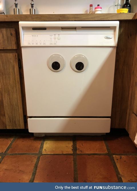 I added googly eyes to our dishwasher. He’s not sure about them : 