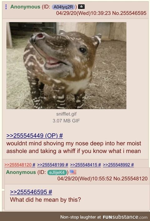 Anon doesn’t get it