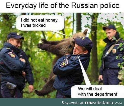 Everyday life of the Russian police