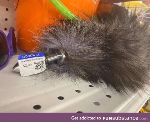 Cheap feather duster at Goodwill