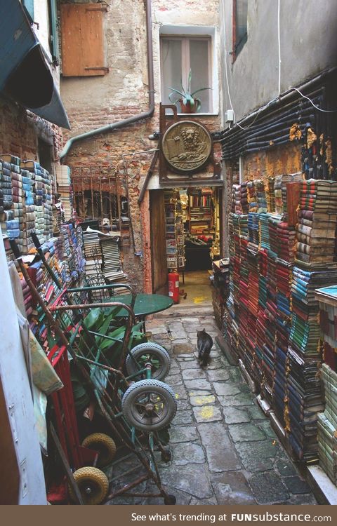 Old bookstore on a hidden street in Venice, the "Libreria Acqua Alta"