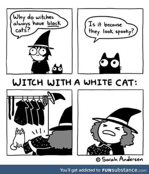 Why do witches have black cats