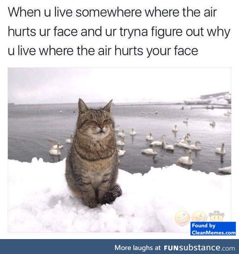 Livin' where the air hurts your face still better than livin' where the grass hurts your..