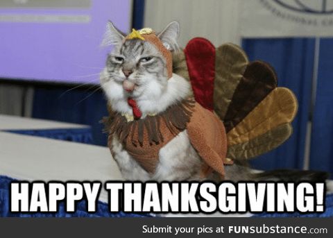 Happy Catnadian Thanks-Giving