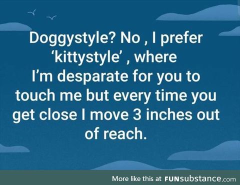 KittyStyle