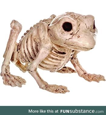 Froggo Fun #298/Spooktober 2020 - This Skelly Is Just Crackin'