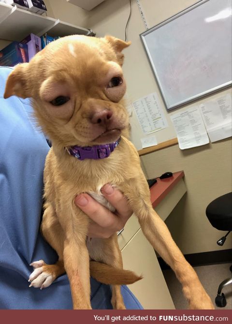 One of our patients had an allergic reaction
