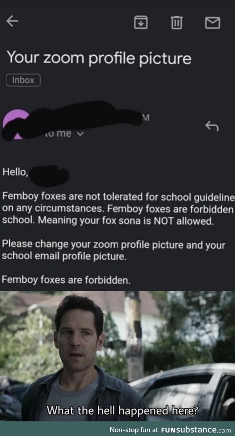 No femboy foxes guys