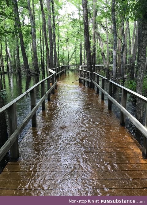 Moores Creek National Battlefield closed due to flooding