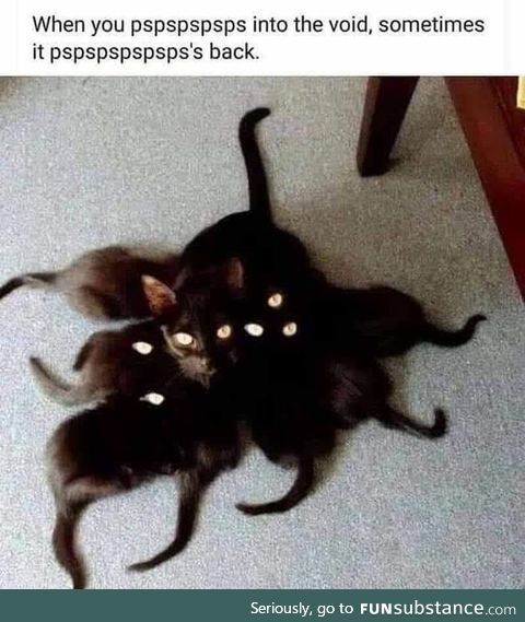 The Void Pspspspsps back