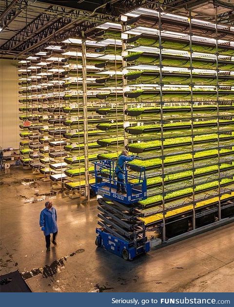 Vertical farming is modelled after The Matrix and will soon be run completely by robots