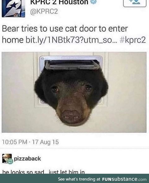 Let the right bear in