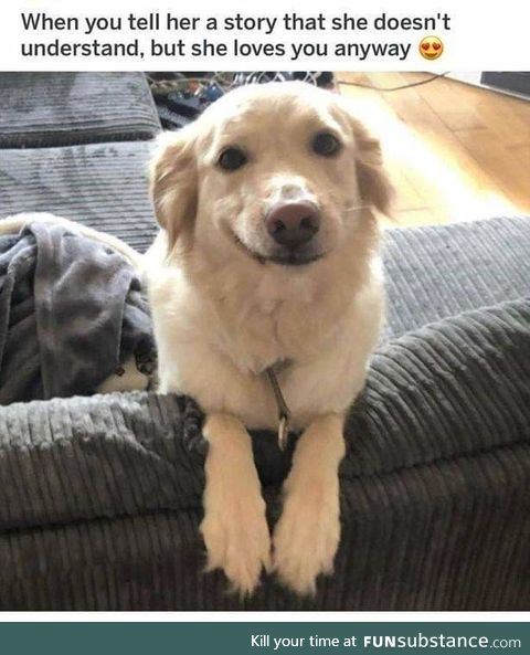 ...wut? 