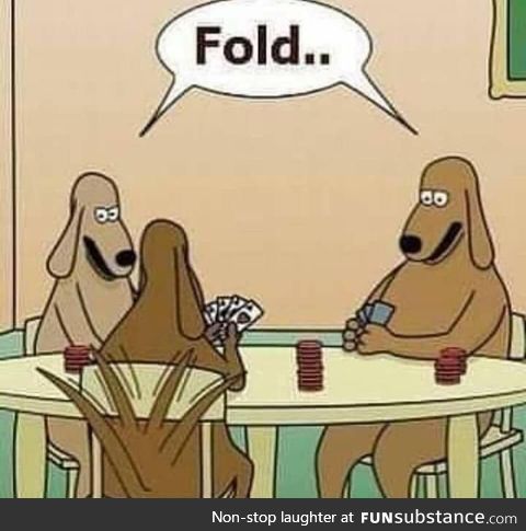 This is why dogs can't play poker