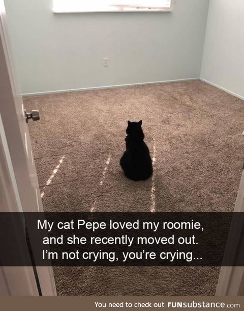 Sad pepe