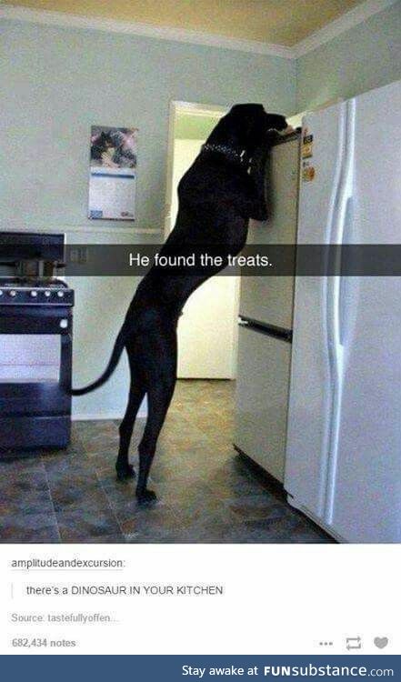 He found the treats