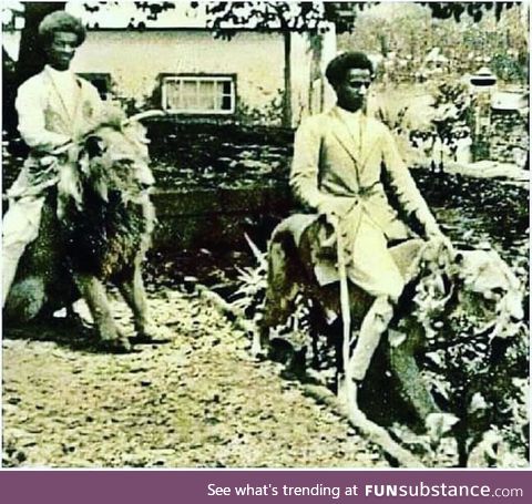 Ethiopian Nobles riding lions for some reason, circa 1901