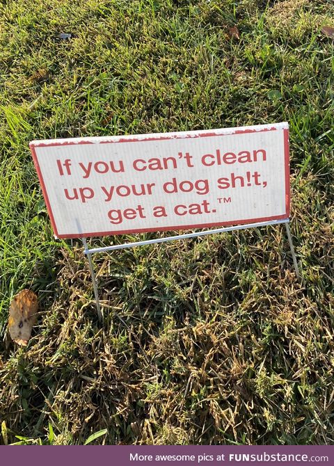 Saw this on my neighbors yard