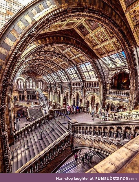 Natural history museum, london
