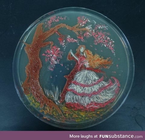 Petri dish bacterial art