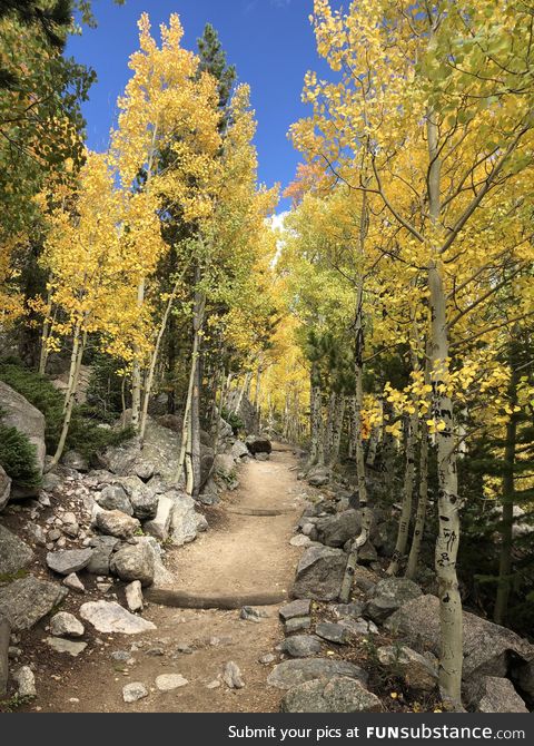 Beautiful colors on the bear lake trailhead in Rocky Mountain National Park