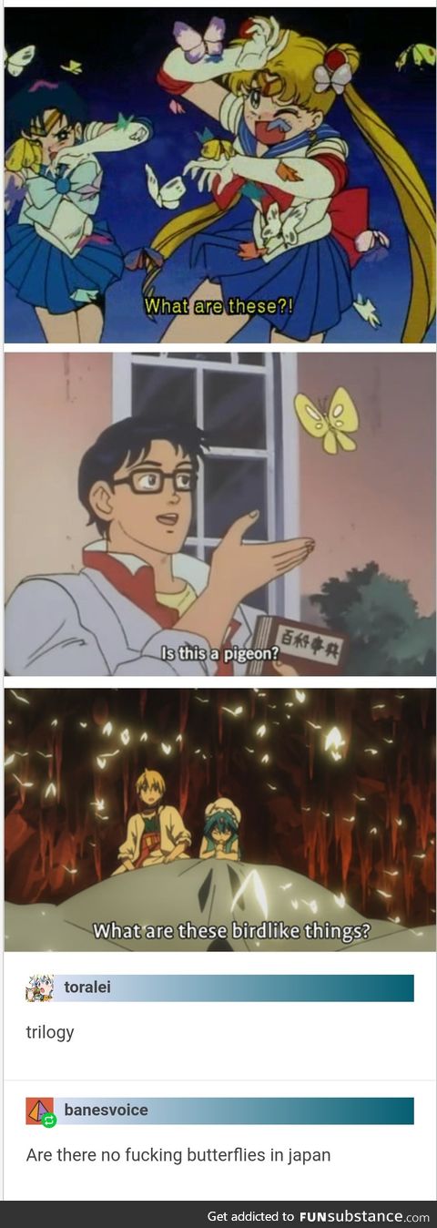 There are no butterflies in Japan