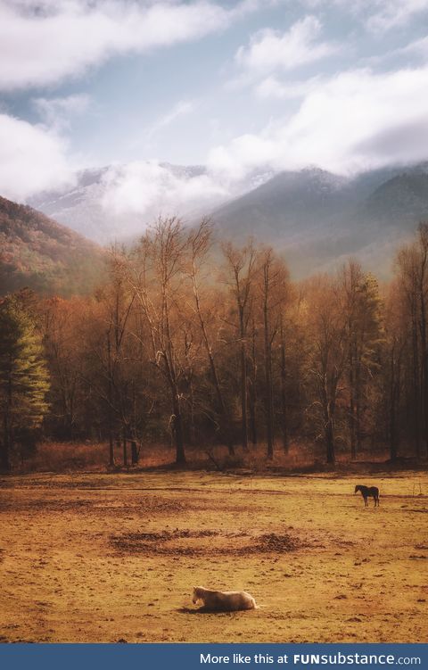 Cades cove - great smoky mountains [oc]