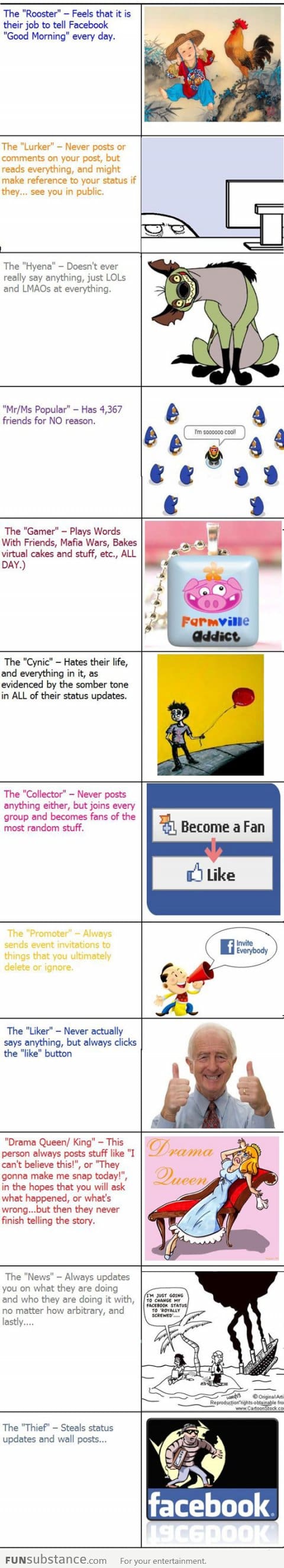 Types of Facebookers