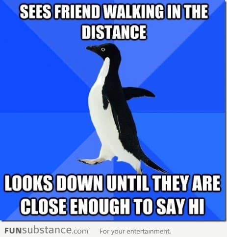 Socially awkward penguin strikes again