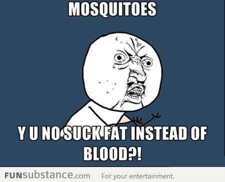 Dear Mosquitoes