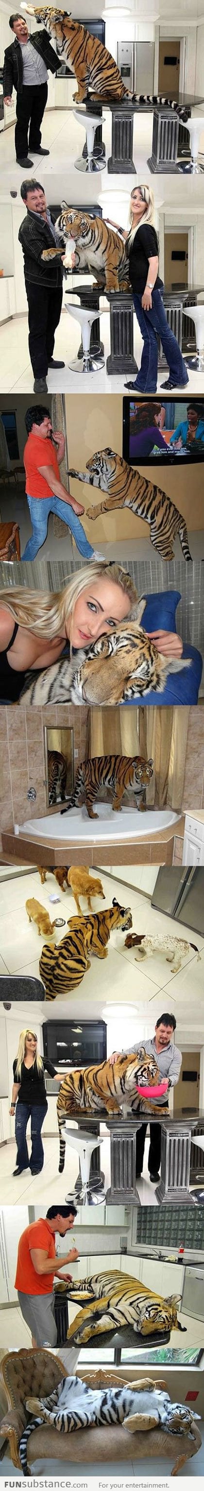 Family Adopts Tiger