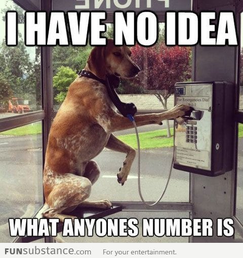 When my battery dies and I need to use a payphone