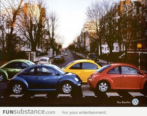 The Beetles